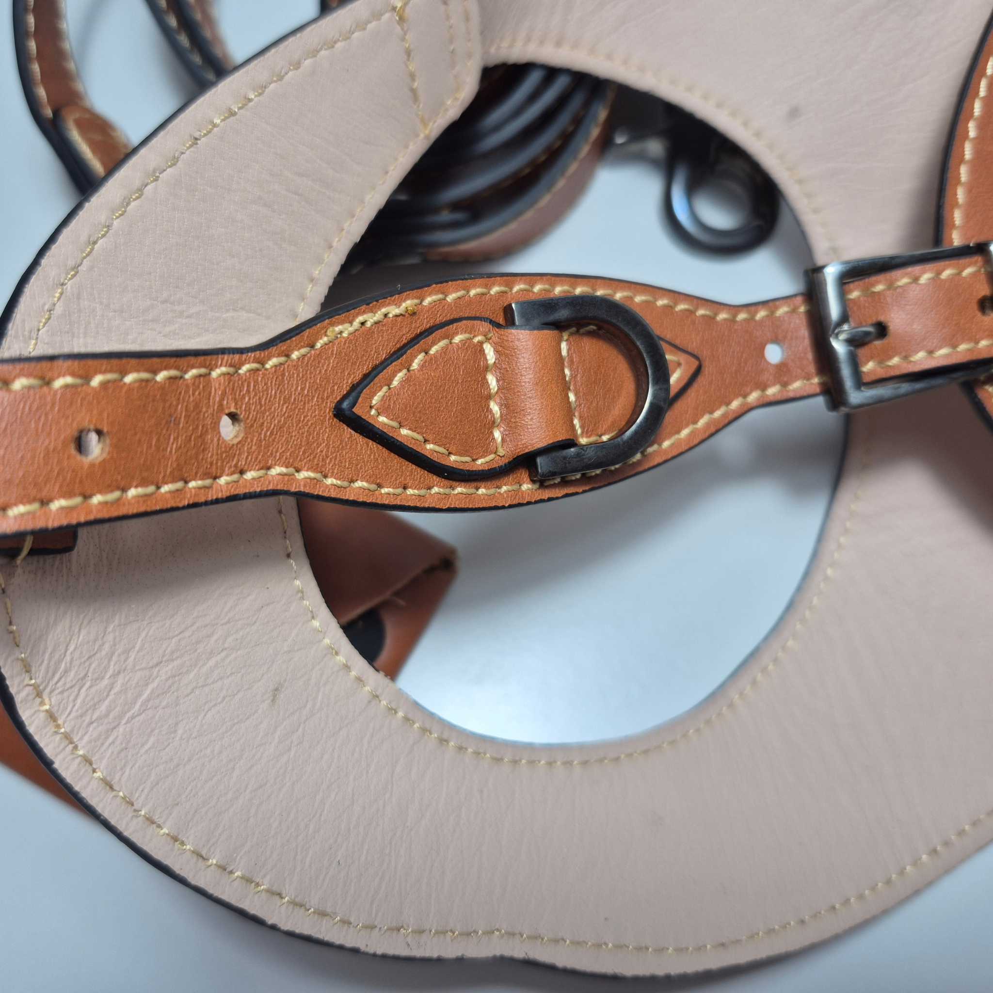 Set Pettorina e Guinzaglio in Pelle con Porta Sacchetti